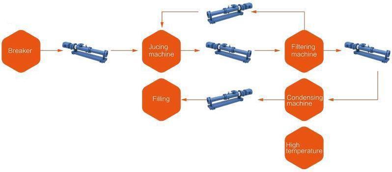 Diagrama de flujo de la bomba para procesamiento de jugo